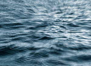 Lecture-Performance: Schwimmen/ /42