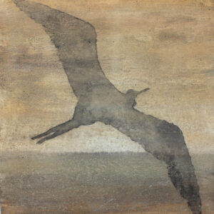 Meereswege – Phänomene der Navigation