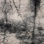 Nanja Heid, Symbiose, 2024