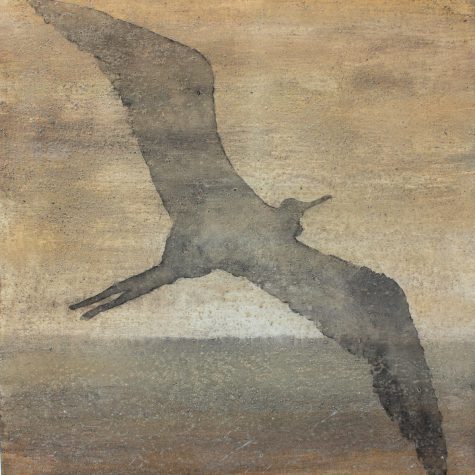 Miriam Wilke, Fregattvogel, 2020, Mischtechnik/LW, 50 x 50 cm Miriam Wilke, Fregattvogel, 2020, Mischtechnik/LW, 50 x 50 cm